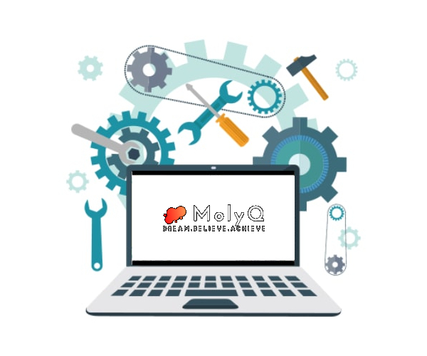 Picture of MolyQ Software Support Services