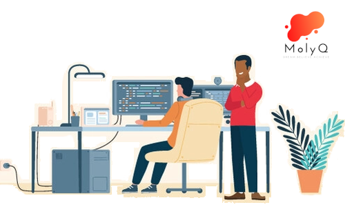 Picture of MolyQ Custom Software/Application